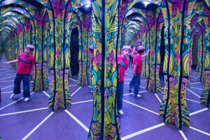 מוזיאון האשליות זקופנה 
